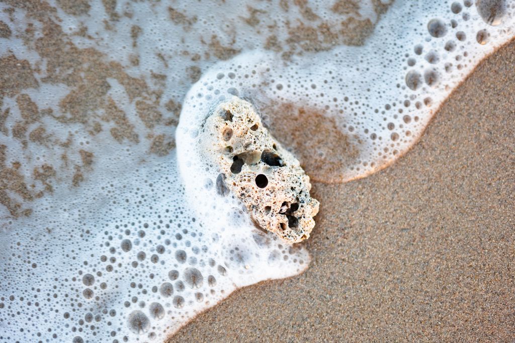 Close-up of a seashell surrounded by foamy waves on a sandy beach in Kuwait.